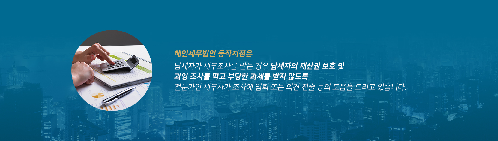 해인세무법인의 조세불복, 세무조사 노하우